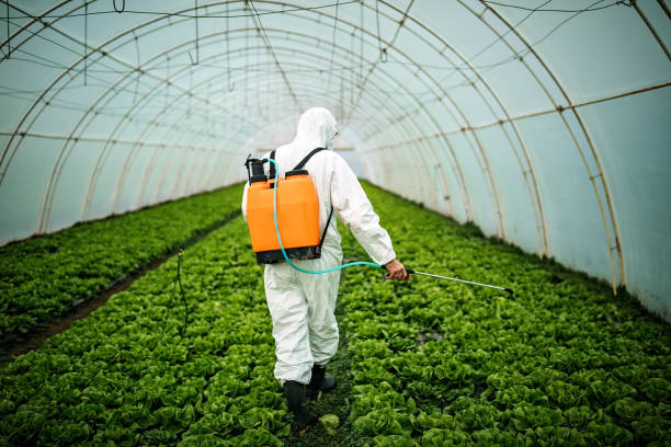Best Pest Removal Services  in Lake Alfred, FL
