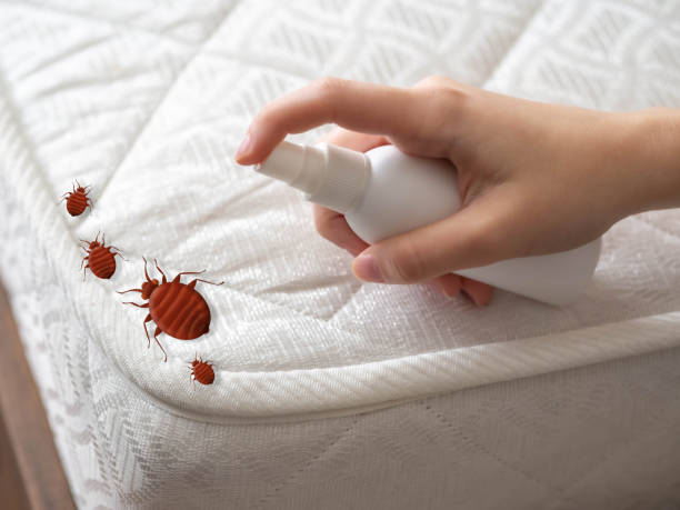 Best Pest Prevention Services  in Lake Alfred, FL