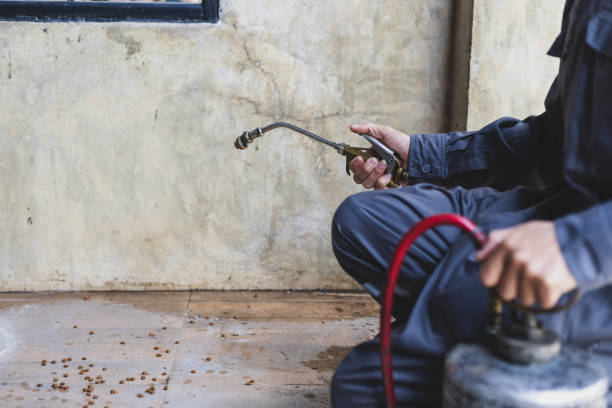 Best Affordable Pest Control Services  in Lake Alfred, FL